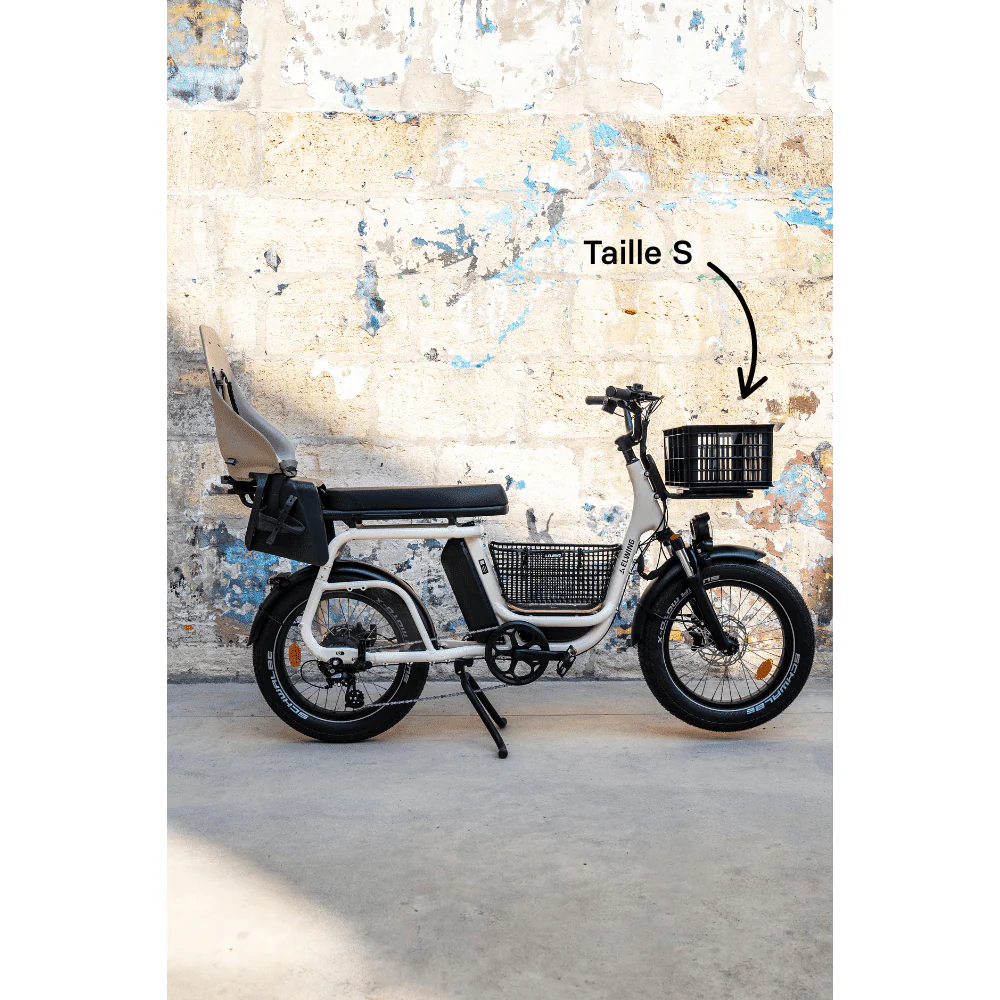 Caisse Basil MIK - Taille S ou L - Image 13